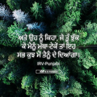 Picture 05 - ਮੱਤੀ 4:9 PANIRV - ਅਤੇ ਉਹ ਨੂੰ ਕਿਹਾ, ਜੇ - Bible Verse Picture