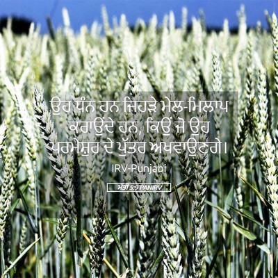 Picture 05 - ਮੱਤੀ 5:9 PANIRV - ਉਹ ਧੰਨ ਹਨ ਜਿਹੜੇ - Bible Verse Picture