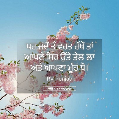 Picture 05 - ਮੱਤੀ 6:17 PANIRV - ਪਰ ਜਦੋਂ ਤੂੰ ਵਰਤ - Bible Verse Picture
