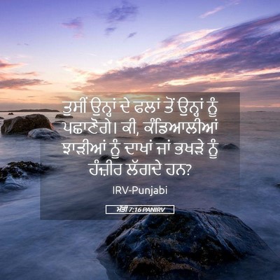 Picture 05 - ਮੱਤੀ 7:16 PANIRV - ਤੁਸੀਂ ਉਨ੍ਹਾਂ ਦੇ - Bible Verse Picture