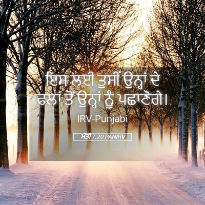 Picture 05 - ਮੱਤੀ 7:20 PANIRV - ਇਸ ਲਈ ਤੁਸੀਂ ਉਨ੍ਹਾਂ - Bible Verse Picture