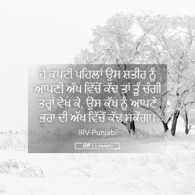 Picture 05 - ਮੱਤੀ 7:5 PANIRV - ਹੇ ਕਪਟੀ ਪਹਿਲਾਂ ਉਸ - Bible Verse Picture