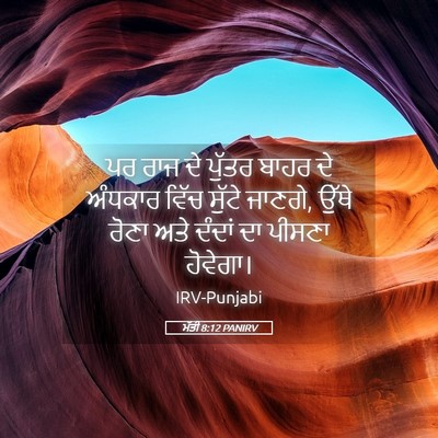 Picture 05 - ਮੱਤੀ 8:12 PANIRV - ਪਰ ਰਾਜ ਦੇ ਪੁੱਤਰ - Bible Verse Picture