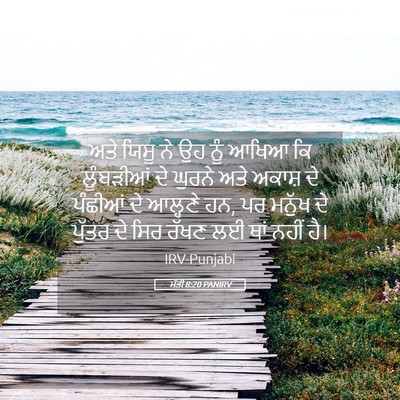 Picture 05 - ਮੱਤੀ 8:20 PANIRV - ਅਤੇ ਯਿਸੂ ਨੇ ਉਹ ਨੂੰ - Bible Verse Picture