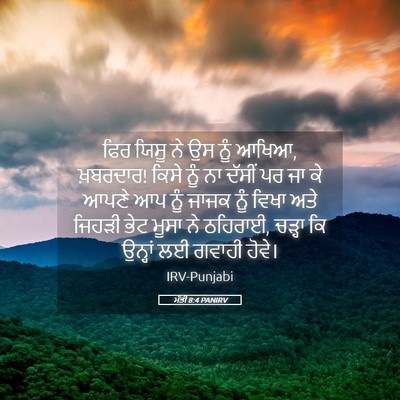 Picture 05 - ਮੱਤੀ 8:4 PANIRV - ਫਿਰ ਯਿਸੂ ਨੇ ਉਸ ਨੂੰ - Bible Verse Picture