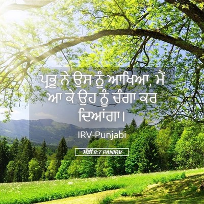 Picture 05 - ਮੱਤੀ 8:7 PANIRV - ਪ੍ਰਭੂ ਨੇ ਉਸ ਨੂੰ - Bible Verse Picture