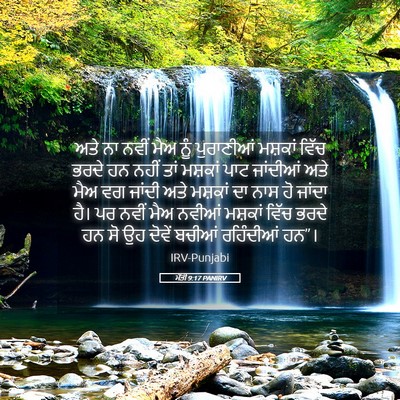 Picture 05 - ਮੱਤੀ 9:17 PANIRV - ਅਤੇ ਨਾ ਨਵੀਂ ਮੈਅ ਨੂੰ - Bible Verse Picture
