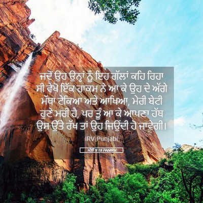 Picture 05 - ਮੱਤੀ 9:18 PANIRV - ਜਦੋਂ ਉਹ ਉਨ੍ਹਾਂ ਨੂੰ - Bible Verse Picture