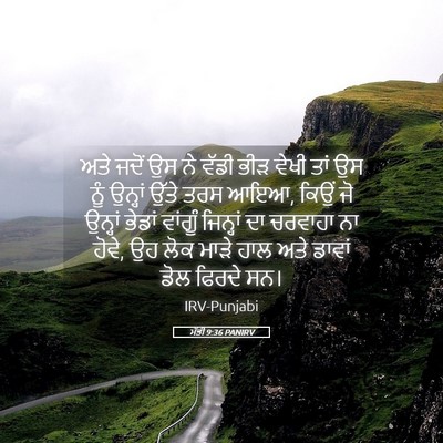 Picture 05 - ਮੱਤੀ 9:36 PANIRV - ਅਤੇ ਜਦੋਂ ਉਸ ਨੇ ਵੱਡੀ - Bible Verse Picture