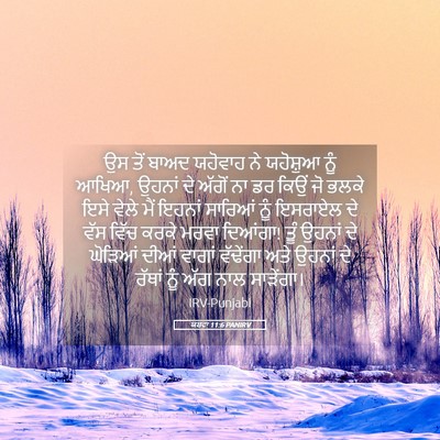 Picture 05 - ਯਸ਼ਵਾ 11:6 PANIRV - ਉਸ ਤੋਂ ਬਾਅਦ ਯਹੋਵਾਹ - Bible Verse Picture