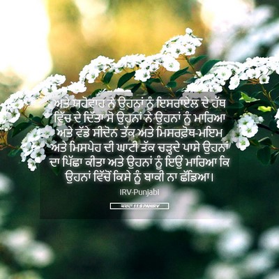 Picture 05 - ਯਸ਼ਵਾ 11:8 PANIRV - ਅਤੇ ਯਹੋਵਾਹ ਨੇ - Bible Verse Picture