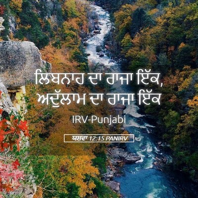 Picture 05 - ਯਸ਼ਵਾ 12:15 PANIRV - ਲਿਬਨਾਹ ਦਾ ਰਾਜਾ ਇੱਕ, - Bible Verse Picture