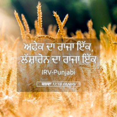 Picture 05 - ਯਸ਼ਵਾ 12:18 PANIRV - ਅਫੇਕ ਦਾ ਰਾਜਾ ਇੱਕ, - Bible Verse Picture