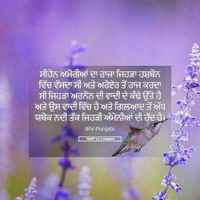 Picture 05 - ਯਸ਼ਵਾ 12:2 PANIRV - ਸੀਹੋਨ ਅਮੋਰੀਆਂ ਦਾ - Bible Verse Picture
