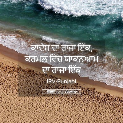 Picture 05 - ਯਸ਼ਵਾ 12:22 PANIRV - ਕਾਦੇਸ਼ ਦਾ ਰਾਜਾ ਇੱਕ, - Bible Verse Picture