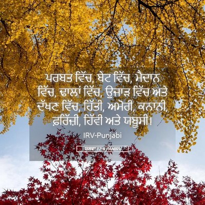 Picture 05 - ਯਸ਼ਵਾ 12:8 PANIRV - ਪਰਬਤ ਵਿੱਚ, ਬੇਟ - Bible Verse Picture