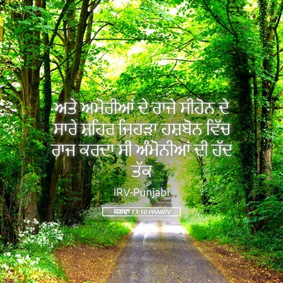 Picture 05 - ਯਸ਼ਵਾ 13:10 PANIRV - ਅਤੇ ਅਮੋਰੀਆਂ ਦੇ - Bible Verse Picture