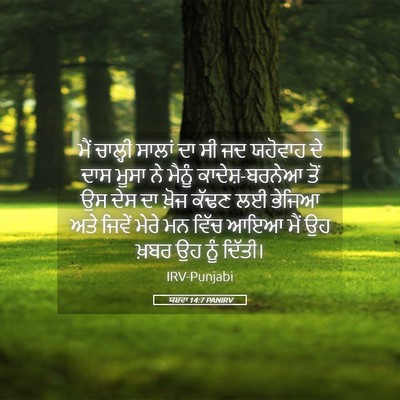 Picture 05 - ਯਸ਼ਵਾ 14:7 PANIRV - ਮੈਂ ਚਾਲ੍ਹੀ ਸਾਲਾਂ - Bible Verse Picture