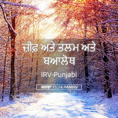 Picture 05 - ਯਸ਼ਵਾ 15:24 PANIRV - ਜ਼ੀਫ਼ ਅਤੇ ਤਲਮ ਅਤੇ - Bible Verse Picture