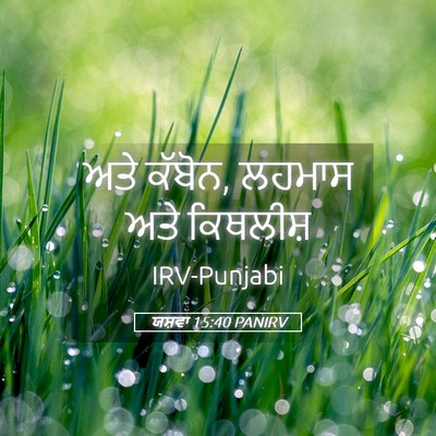 Picture 05 - ਯਸ਼ਵਾ 15:40 PANIRV - ਅਤੇ ਕੱਬੋਨ, ਲਹਮਾਸ - Bible Verse Picture