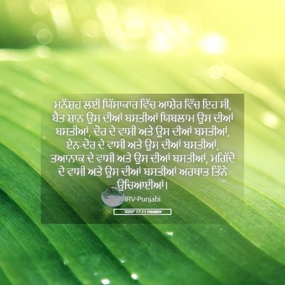Picture 05 - ਯਸ਼ਵਾ 17:11 PANIRV - ਮਨੱਸ਼ਹ ਲਈ - Bible Verse Picture