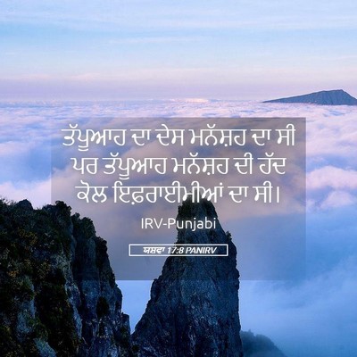 Picture 05 - ਯਸ਼ਵਾ 17:8 PANIRV - ਤੱਪੂਆਹ ਦਾ ਦੇਸ - Bible Verse Picture