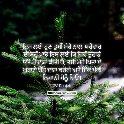 Picture 05 - ਯਸ਼ਵਾ 2:12 PANIRV - ਇਸ ਲਈ ਹੁਣ ਤੁਸੀਂ - Bible Verse Picture