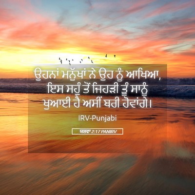 Picture 05 - ਯਸ਼ਵਾ 2:17 PANIRV - ਉਹਨਾਂ ਮਨੁੱਖਾਂ ਨੇ - Bible Verse Picture