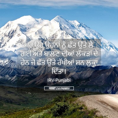 Picture 05 - ਯਸ਼ਵਾ 2:6 PANIRV - ਪਰ ਉਹ ਉਹਨਾਂ ਨੂੰ ਛੱਤ - Bible Verse Picture