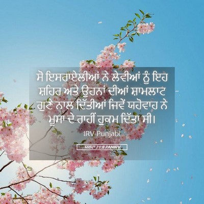 Picture 05 - ਯਸ਼ਵਾ 21:8 PANIRV - ਸੋ ਇਸਰਾਏਲੀਆਂ ਨੇ - Bible Verse Picture
