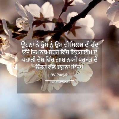 Picture 05 - ਯਸ਼ਵਾ 24:30 PANIRV - ਉਹਨਾਂ ਨੇ ਉਸ ਨੂੰ ਉਸ - Bible Verse Picture