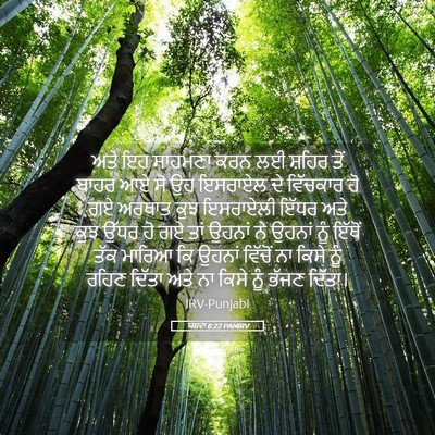 Picture 05 - ਯਸ਼ਵਾ 8:22 PANIRV - ਅਤੇ ਇਹ ਸਾਹਮਣਾ ਕਰਨ - Bible Verse Picture