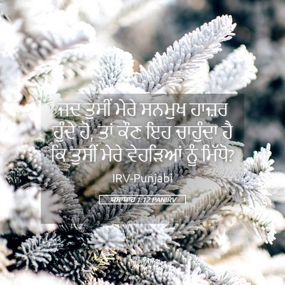 Picture 05 - ਯਸਾਯਾਹ 1:12 PANIRV - ਜਦ ਤੁਸੀਂ ਮੇਰੇ - Bible Verse Picture