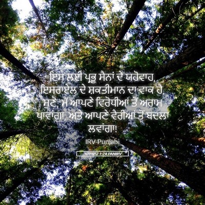 Picture 05 - ਯਸਾਯਾਹ 1:24 PANIRV - ਇਸ ਲਈ ਪ੍ਰਭੂ ਸੈਨਾਂ - Bible Verse Picture