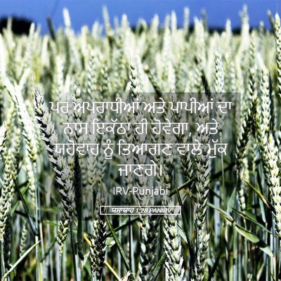 Picture 05 - ਯਸਾਯਾਹ 1:28 PANIRV - ਪਰ ਅਪਰਾਧੀਆਂ ਅਤੇ - Bible Verse Picture