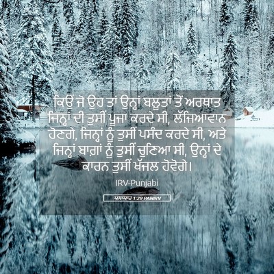 Picture 05 - ਯਸਾਯਾਹ 1:29 PANIRV - ਕਿਉਂ ਜੋ ਉਹ ਤਾਂ - Bible Verse Picture