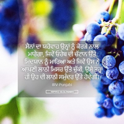 Picture 05 - ਯਸਾਯਾਹ 10:26 PANIRV - ਸੈਨਾਂ ਦਾ ਯਹੋਵਾਹ - Bible Verse Picture