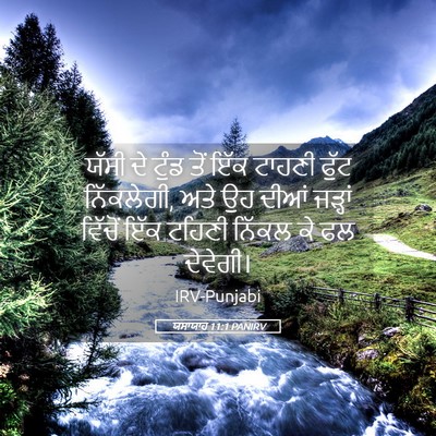 Picture 05 - ਯਸਾਯਾਹ 11:1 PANIRV - ਯੱਸੀ ਦੇ ਟੁੰਡ ਤੋਂ - Bible Verse Picture