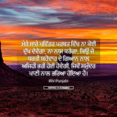 Picture 05 - ਯਸਾਯਾਹ 11:9 PANIRV - ਮੇਰੇ ਸਾਰੇ ਪਵਿੱਤਰ - Bible Verse Picture