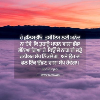 Picture 05 - ਯਸਾਯਾਹ 14:29 PANIRV - ਹੇ ਫ਼ਲਿਸਤੀਓ, ਤੁਸੀਂ - Bible Verse Picture