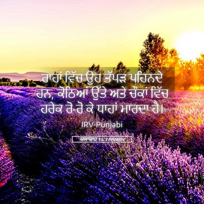 Picture 05 - ਯਸਾਯਾਹ 15:3 PANIRV - ਰਾਹਾਂ ਵਿੱਚ ਉਹ ਤੱਪੜ - Bible Verse Picture