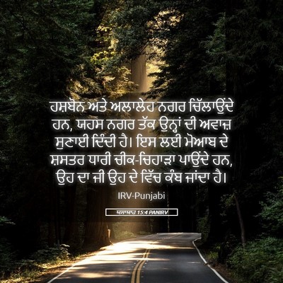 Picture 05 - ਯਸਾਯਾਹ 15:4 PANIRV - ਹਸ਼ਬੋਨ ਅਤੇ ਅਲਾਲੇਹ - Bible Verse Picture