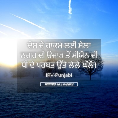 Picture 05 - ਯਸਾਯਾਹ 16:1 PANIRV - ਦੇਸ ਦੇ ਹਾਕਮ ਲਈ ਸੇਲਾ - Bible Verse Picture