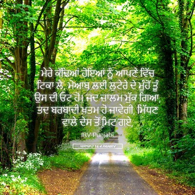 Picture 05 - ਯਸਾਯਾਹ 16:4 PANIRV - ਮੇਰੇ ਕੱਢਿਆਂ ਹੋਇਆਂ - Bible Verse Picture