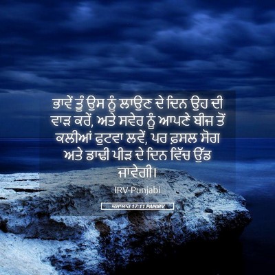 Picture 05 - ਯਸਾਯਾਹ 17:11 PANIRV - ਭਾਵੇਂ ਤੂੰ ਉਸ ਨੂੰ - Bible Verse Picture