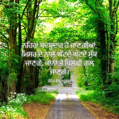 Picture 05 - ਯਸਾਯਾਹ 19:6 PANIRV - ਨਹਿਰਾਂ ਬਦਬੂਦਾਰ ਹੋ - Bible Verse Picture