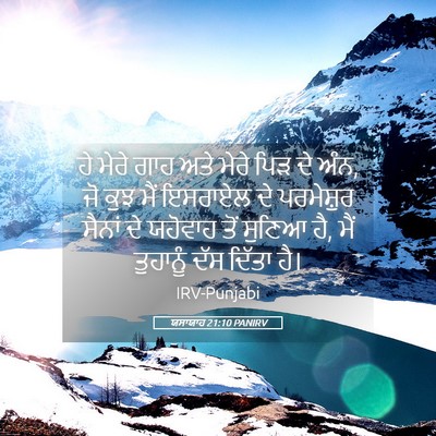 Picture 05 - ਯਸਾਯਾਹ 21:10 PANIRV - ਹੇ ਮੇਰੇ ਗਾਹ ਅਤੇ - Bible Verse Picture