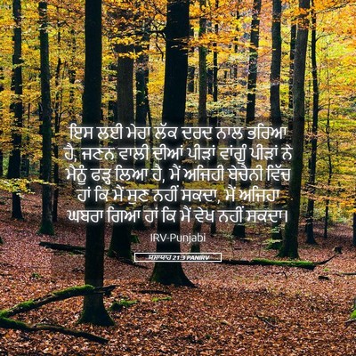 Picture 05 - ਯਸਾਯਾਹ 21:3 PANIRV - ਇਸ ਲਈ ਮੇਰਾ ਲੱਕ ਦਰਦ - Bible Verse Picture
