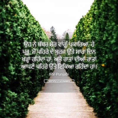 Picture 05 - ਯਸਾਯਾਹ 21:8 PANIRV - ਉਹ ਨੇ ਬੱਬਰ ਸ਼ੇਰ - Bible Verse Picture