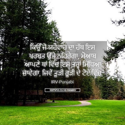 Picture 05 - ਯਸਾਯਾਹ 25:10 PANIRV - ਕਿਉਂ ਜੋ ਯਹੋਵਾਹ ਦਾ - Bible Verse Picture